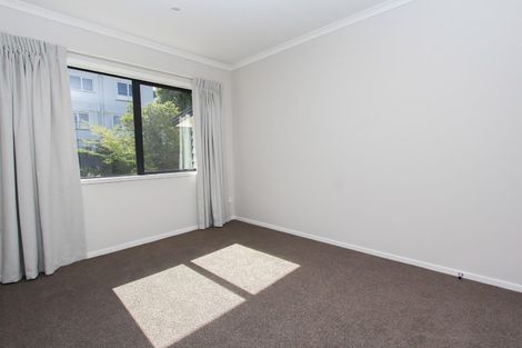 Photo of property in 20u5 Hunter Street, Hamilton Lake, Hamilton, 3204