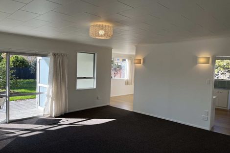 Photo of property in 16 Argosy Place, Blenheim, 7201