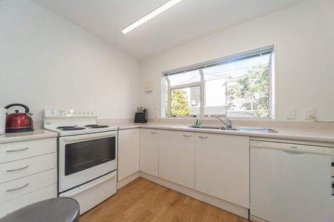 Photo of property in 19/20u Thompson Street, Mount Cook, Wellington, 6011