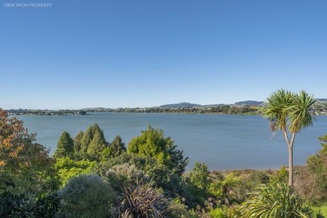 Photo of property in 49 Baycroft Avenue, Parkvale, Tauranga, 3112