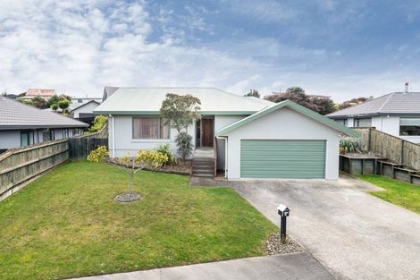 Photo of property in 62 Fraser Drive, Feilding, 4702