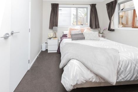 Photo of property in 16u7 Hammond Street, Hamilton Central, Hamilton, 3204
