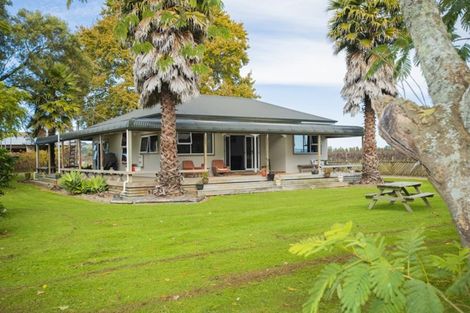 Photo of property in 144 Ngakoroa Road, Ormond, Gisborne, 4071