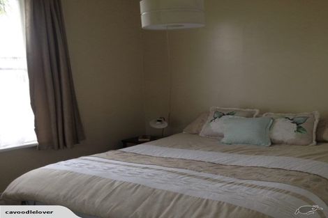 Photo of property in 141 Portia Street, Stratford, 4332