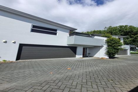Photo of property in 46u2 Willoughby Street, Whitiora, Hamilton, 3200