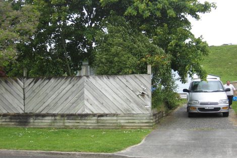 Photo of property in 169 Sinclair Terrace, Te Awamutu, 3800