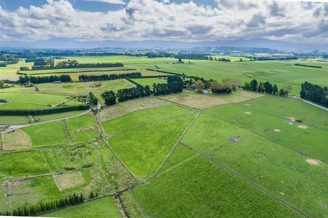 Photo of property in 407 Springbank Road, Swannanoa, Rangiora, 7471