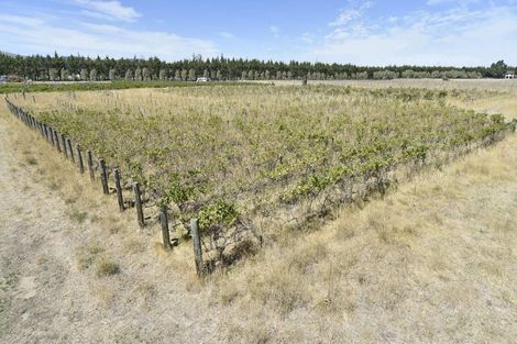 Photo of property in 53 Te Taniwha Road, One Tree Point, 0118