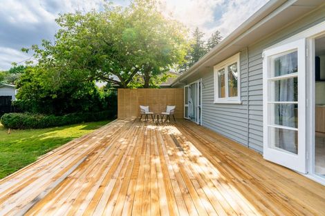 Photo of property in 17 Brown Street, Hamilton East, Hamilton, 3216