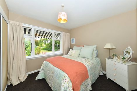 Photo of property in 19 Middlepark Road, Sockburn, Christchurch, 8042