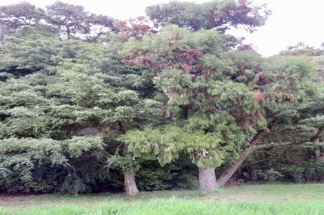 Photo of property in 504b Wairere Road, Maungaturoto, 0571