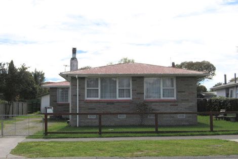 Photo of property in 44 Scannell Street, Taupo, 3330
