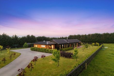 Photo of property in 38 Shaw Road, Te Ranga, Te Puke, 3182