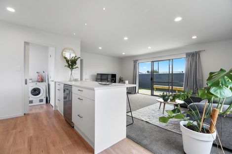 Photo of property in 164a Nixon Street, Hamilton East, Hamilton, 3216