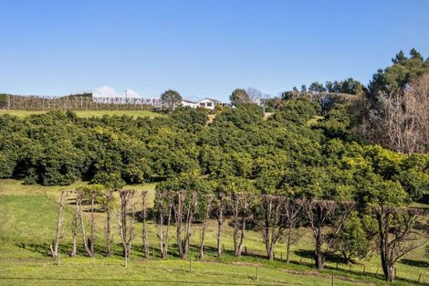 Photo of property in 297 Kauri Point Road, Tahawai, Katikati, 3170