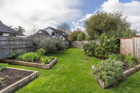 Photo of property in 54 Queenwood Avenue, Queenwood, Hamilton, 3210