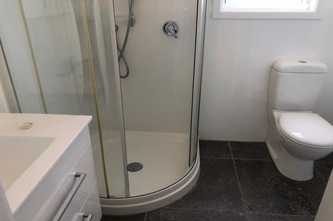 Photo of property in 20 Carrington Street, Mount Cook, Wellington, 6021