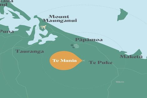 Photo of property in 25 Huriana Crescent, Te Puke, 3119