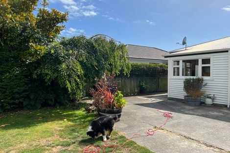 Photo of property in 49 Cleveland Street, Edgeware, Christchurch, 8013