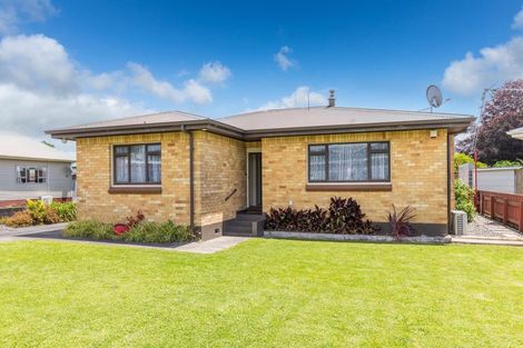 Photo of property in 9 Browne Street, Matamata, 3400