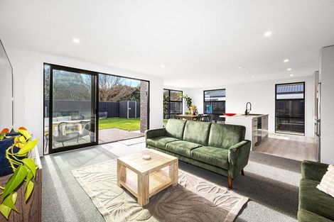 Photo of property in 43 Henshaw Street, Woodend, 7610