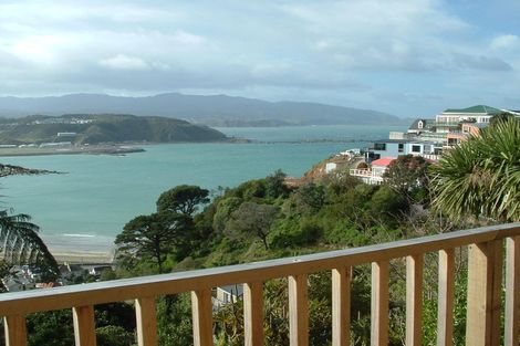 Photo of property in 115 Hornsey Road, Melrose, Wellington, 6023