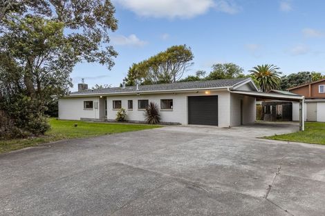 Photo of property in 189 Tararua Road, Levin, 5571