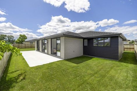Photo of property in 152b Park Road, Horotiu, 3288