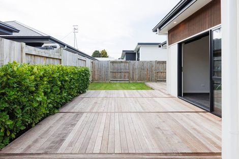 Photo of property in 99b Linton Street, West End, Palmerston North, 4410