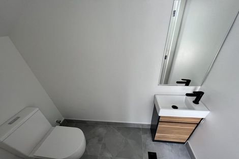 Photo of property in 38a Mcwhirters Farm Lane, Massey, Auckland, 0614