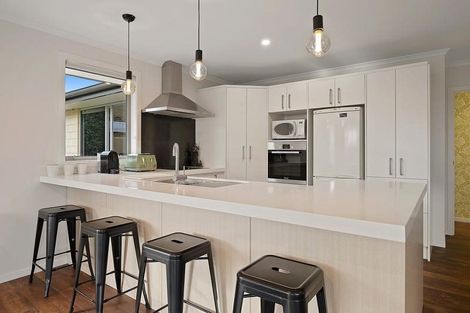 Photo of property in 6 David Place, Cromwell, 9310