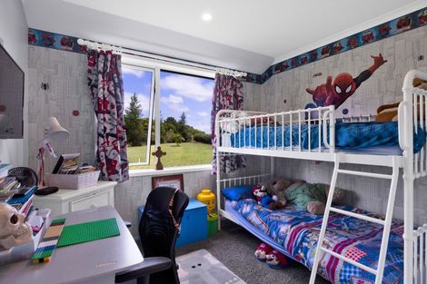 Photo of property in 26 Ahuroa Road, Toko, Stratford, 4392