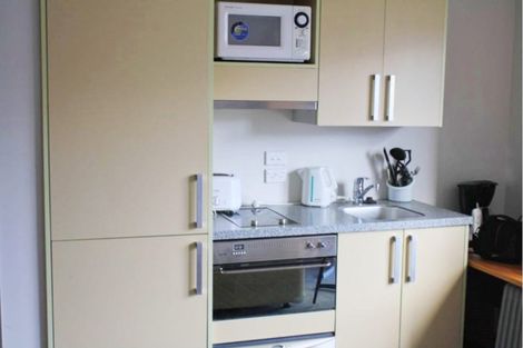 Photo of property in Dual Apartments, 108/142u Vivian Street, Te Aro, Wellington, 6011