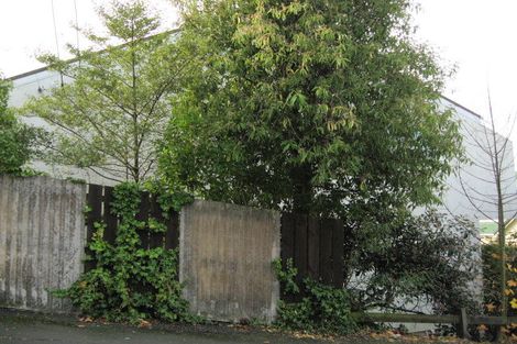 Photo of property in 21 Pacific Street, Roslyn, Dunedin, 9010