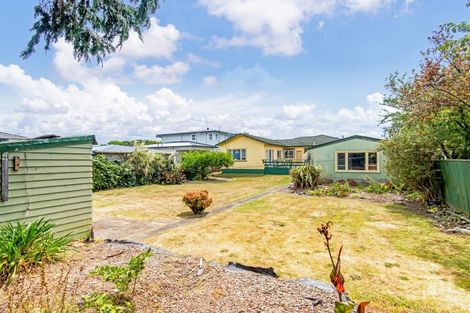 Photo of property in 80 Limbrick Street, Terrace End, Palmerston North, 4410