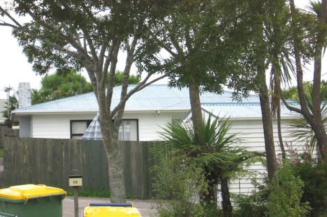 Photo of property in 12 Duncan Avenue, Te Atatu South, Auckland, 0610