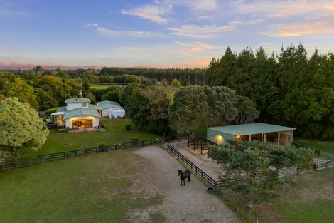 Photo of property in 1280 Omanawa Road, Omanawa, Tauranga, 3171