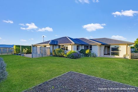 Photo of property in 4 Denton Street, Amberley, 7410