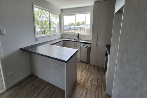 Photo of property in 119a Hamlet Street, Stratford, 4332