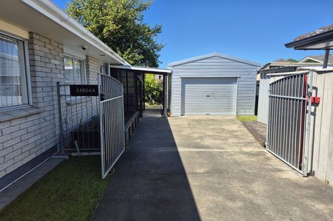 Photo of property in 804a Alexandra Street, Parkvale, Hastings, 4122