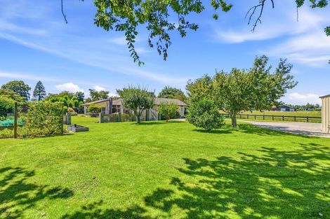 Photo of property in 8 Odlum Drive, Matamata, 3472