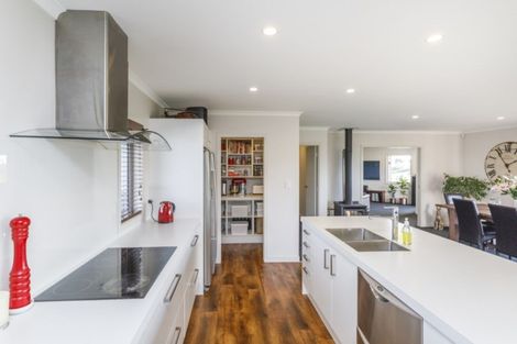 Photo of property in 132 Ngaio Road, Halcombe, Palmerston North, 4479