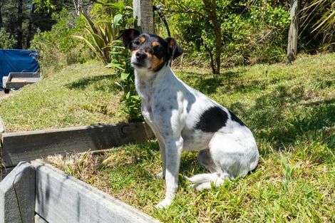 Photo of property in 184-190 Kahukura Avenue, Waitarere Beach, Levin, 5510