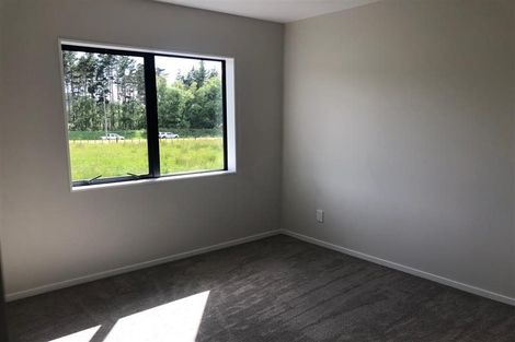 Photo of property in 106 Top Road, Dairy Flat, 0792