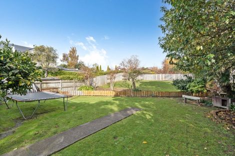 Photo of property in 113 Cole Street, Masterton, 5810