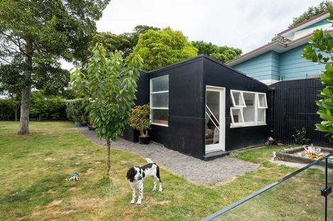 Photo of property in 6 Kuku Street, Te Awanga, 4102