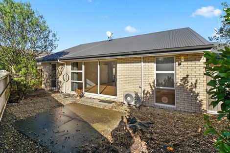 Photo of property in 15f Beaumont Street, Hamilton East, Hamilton, 3216