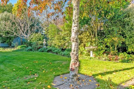 Photo of property in 12 Saint Albans Avenue, Hokowhitu, Palmerston North, 4410