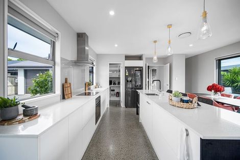 Photo of property in 73 Dynes Road, Rolleston, 7615