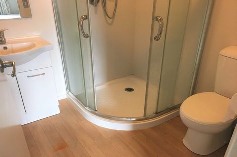 Photo of property in 27u1 Hogan Street, Hamilton East, Hamilton, 3216